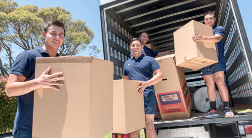 furniture-movers-remuera